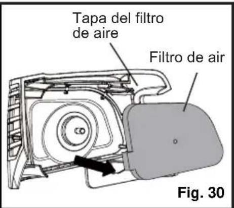 LawnMaster NPTGSS2617A - AVISO: - 2