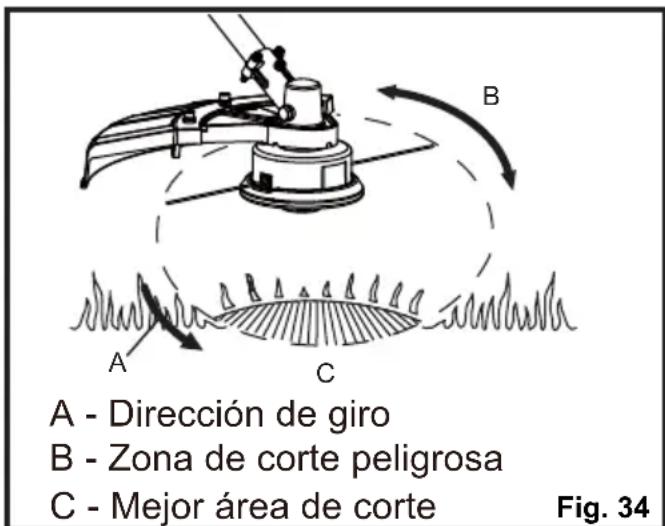 LawnMaster NPTGSP2517A - CONSEJOS DE USO (Consulte las Figura 34) - 1