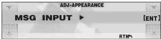ADJ-APPEARANCE MSG INPUT ▶ [ENT] RTN