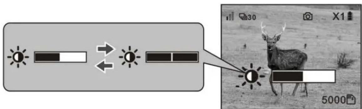 Carson Aura Plus NV-250 - Screen brightness - 2