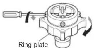 Ring plate