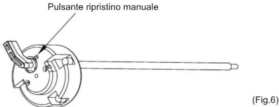 Pulsante ripristino manuale (Fig.6)