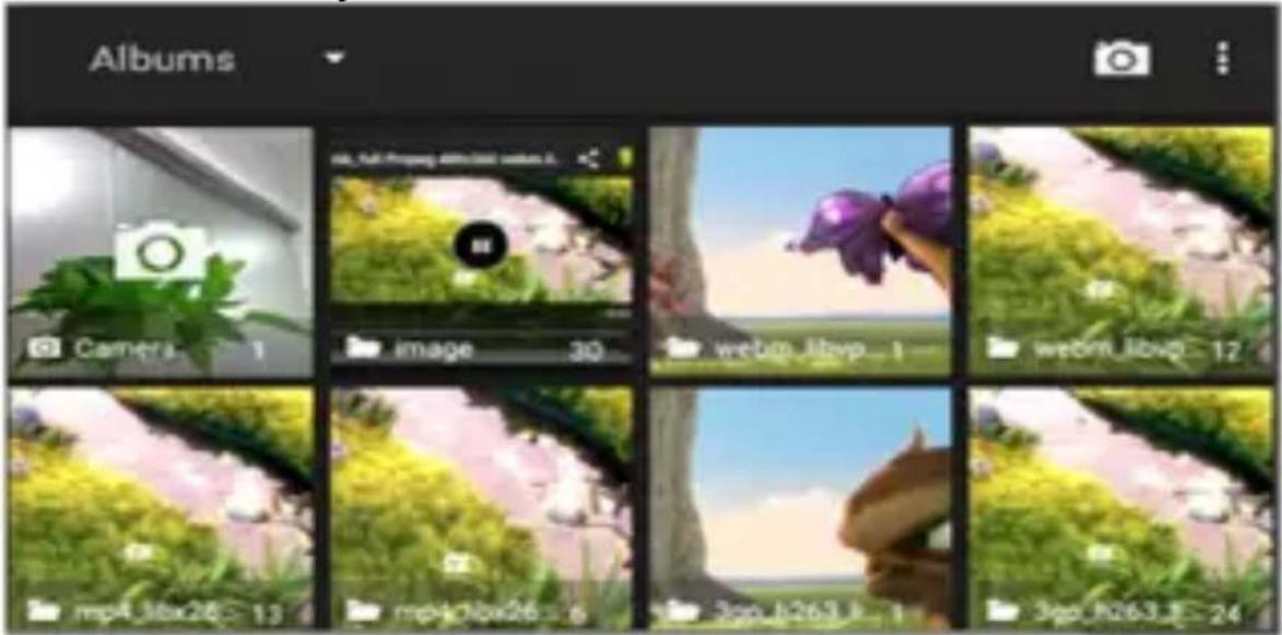 Albums Camera 1 image 30 webm_libvp_1 webm_libvp_12 mp4_bbx26 > 13 mp4_bbx26 = 6 3cp_b263_1 3cp_bx63_1 = 24