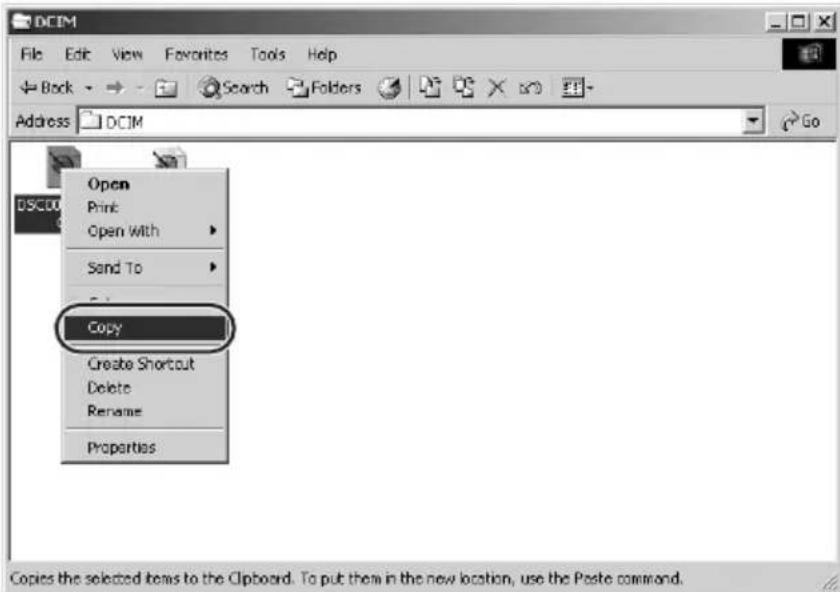 DCIM File Edit View Favorites Tools Help Back Search Folders Address DCIM Open Print Open With Send To Copy Create Shortcut Delete Rename Properties Copies the selected items to the Clipboard. To put them in the new location, use the Paste command.