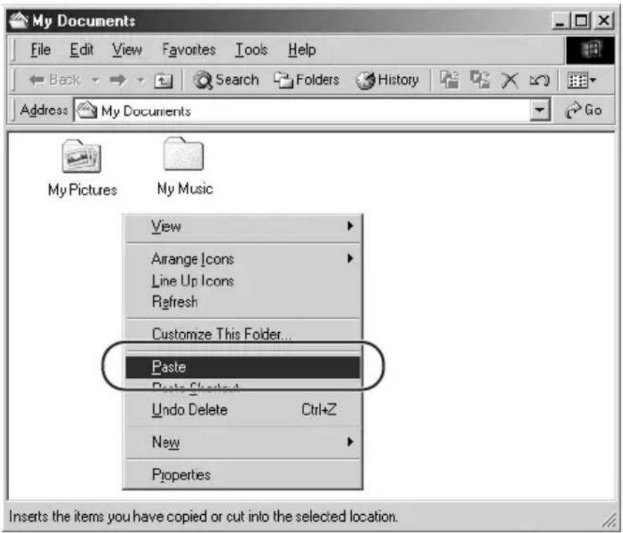 My Documents File Edit View Favorites Tools Help Back Search Folders History Address My Documents Go My Pictures My Music View Arrange Icons Line Up Icons Refresh Customize This Folder... Paste Paste Checkout Undo Delete Ctrl+Z New Properties Inserts the items you have copied or cut into the selected location.