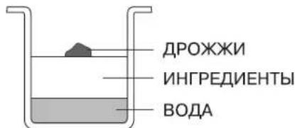 ДРОЖЖИ ИНГРЕДИЕНТЫ ВОДА