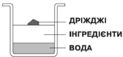 ДРІЖДЖІ ІНГРЕДІЄНТИ ВОДА