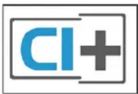 CI+