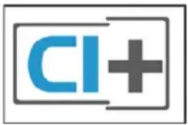 CI+