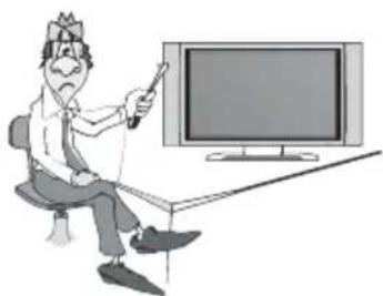 Vivax TV-24LE75T2 - Safety - 9