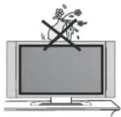 Vivax TV-24LE75T2 - Safety - 10