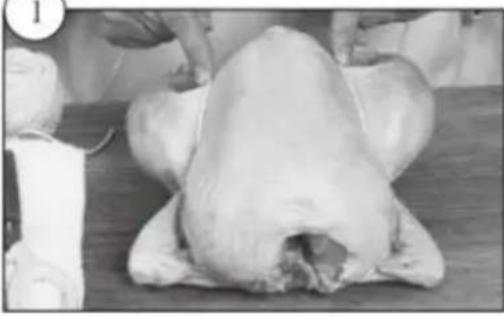 Kogan KA23LDGFRYA - Trussing Poultry - 1