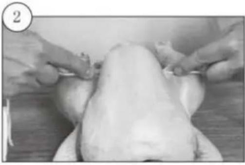 Kogan KA23LDGFRYA - Trussing Poultry - 2