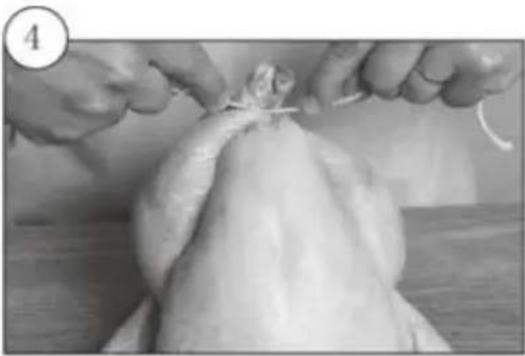 Kogan KA23LDGFRYA - Trussing Poultry - 4
