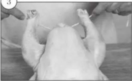 Kogan KA23LDGFRYA - Trussing Poultry - 3
