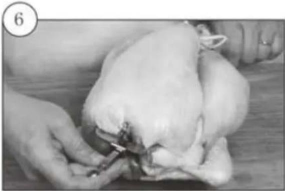 Kogan KA23LDGFRYA - Trussing Poultry - 6