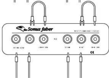 Sonus Faber SE - TRI-AMPING - 4
