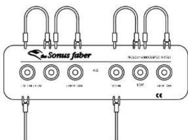Sonus Faber SE - TRI-AMPING - 1