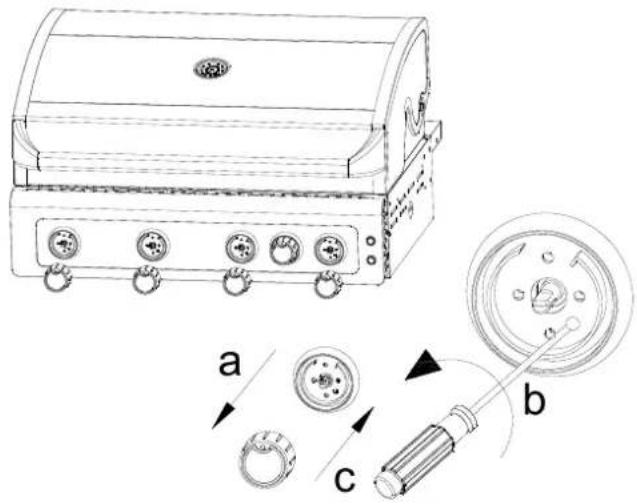 Beefmaster V Series G2BV - Converting from LPG to NG (continued) - 2
