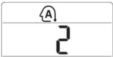 A 2