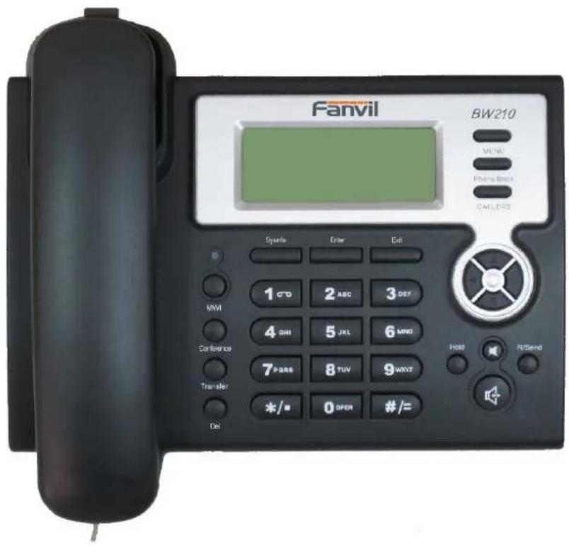 Fanvil BW210P - Thank you for your purchasing BW210 - 1