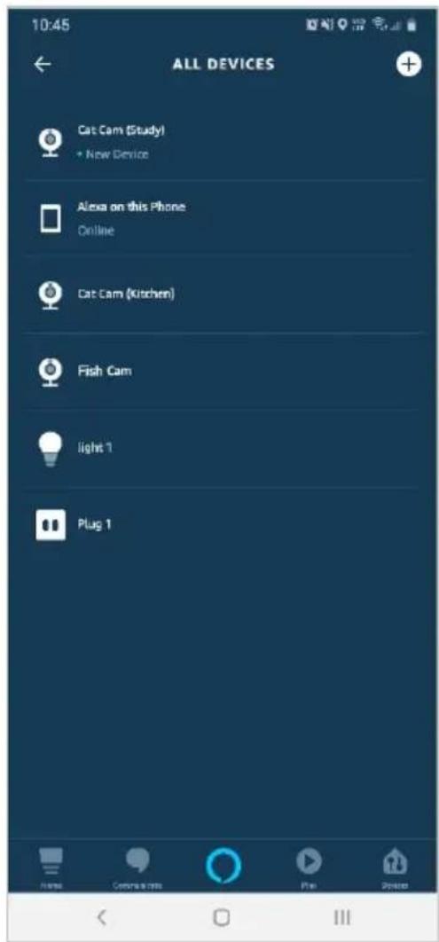 10:45 ALL DEVICES Cat Cam (Study) • New Device Alexa on this Phone Online Cat Cam (Kitchen) Fish Cam light 1 Plug 1