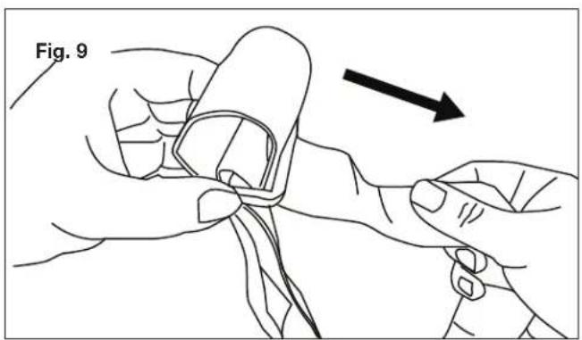 Fig. 9