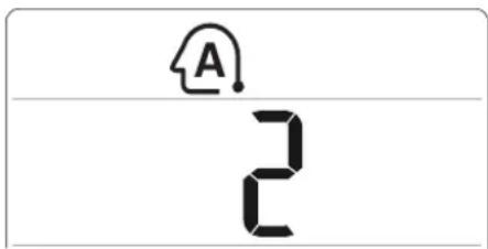 A 2