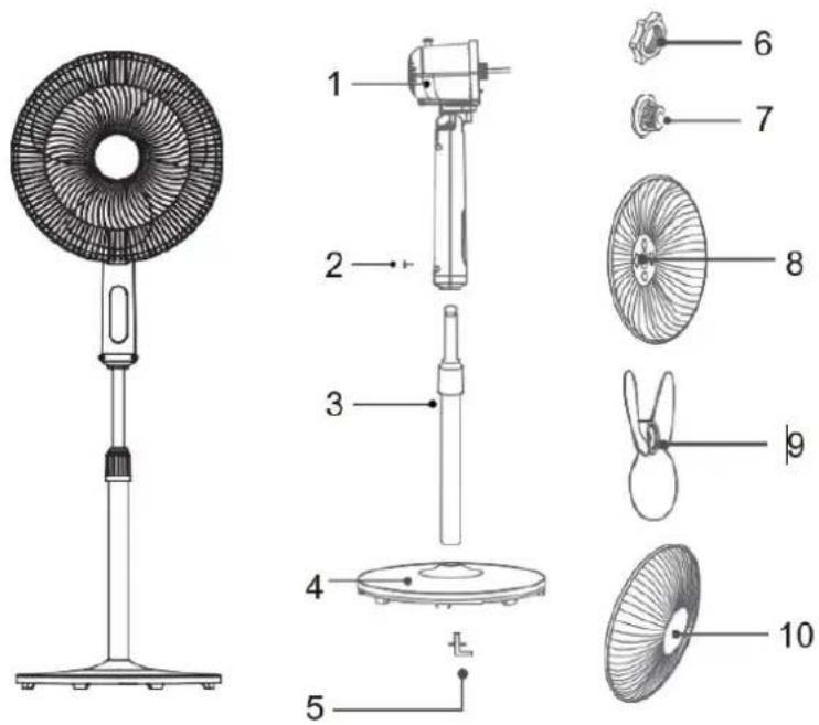 Technical diagram of a standing fan with numbered parts for identification and assembly reference.
