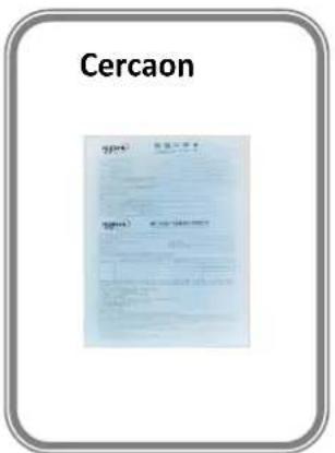 Cercaon 100% 100%
