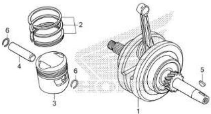 Honda TMX125α (2015) - Fuel hose, general purpose hoses and vinyl hose - 71