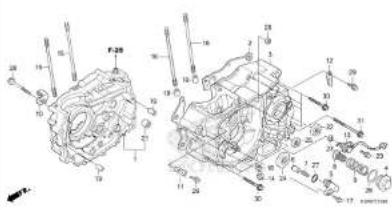 Honda TMX125α (2015) - Fuel hose, general purpose hoses and vinyl hose - 14
