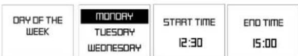 DAY OF THE WEEK MONDAY TUESDAY WEDNESDAY START TIME 12:30 END TIME 15:00
