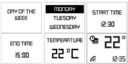 DAY OF THE WEEK MONDAY TUESDAY WEONESDAY START TIME 12:30 END TIME 15:00 TEMPERATURE 22 °C 22 ° 12:35