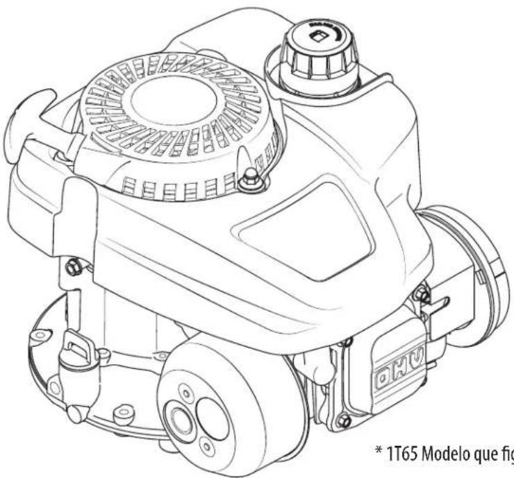 TROY-BILT TB22TMK - MANUAL DEL OPERADOR - 1