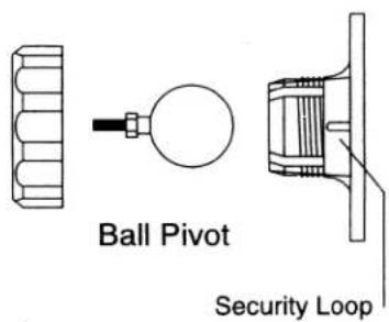 Ball Pivot Security Loop