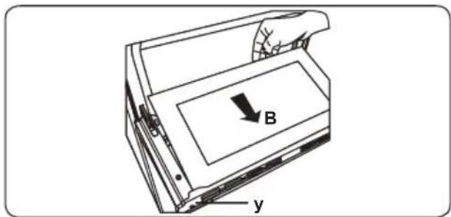 B y