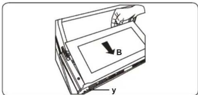 B y