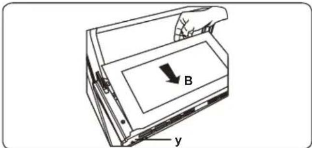 B y