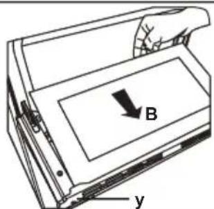 B y