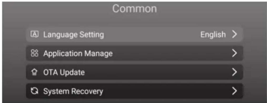 Common Language Setting English > Application Manage > OTA Update > System Recovery >