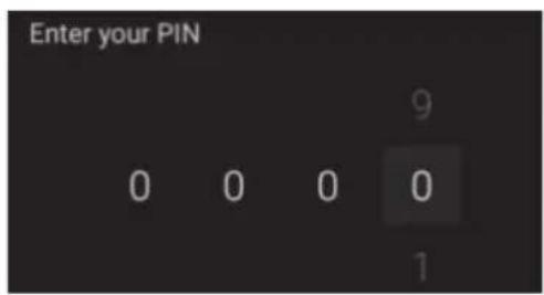 Enter your PIN 0 0 0 0 9 1