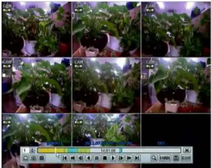 Screenshot of a video editing interface showing a grid of 12 sequential frames of a potted plant with camera settings and a playback control panel at the bottom.