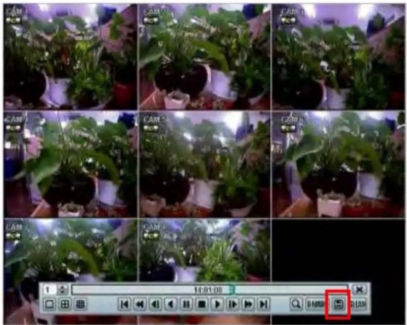 Screenshot of a video editing interface showing a grid of 16 video frames with potted plants and a red play button labeled '14:01:00'.