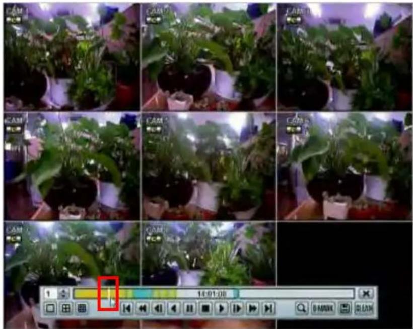 Screenshot of a video editing interface showing a grid of potted plants with camera settings and a color adjustment panel at bottom.