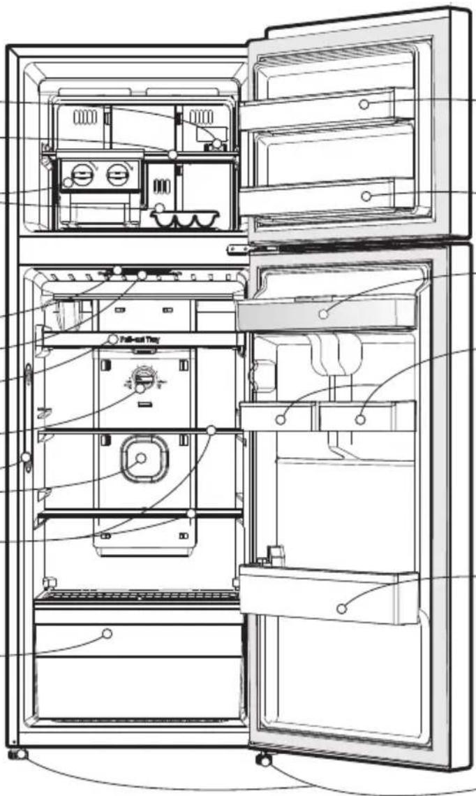 Line drawing of an open refrigerator showing internal compartments and doors (no text or symbols)