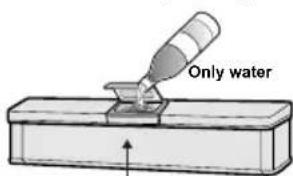 Only water