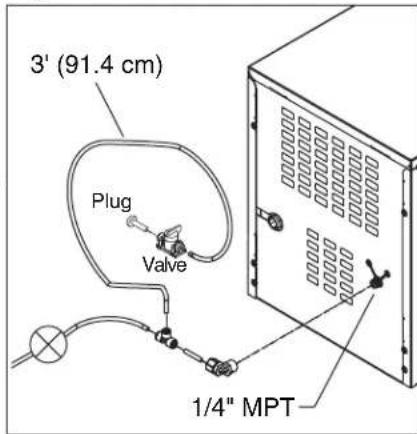 3' (91.4 cm) Plug Valve 1/4" MPT