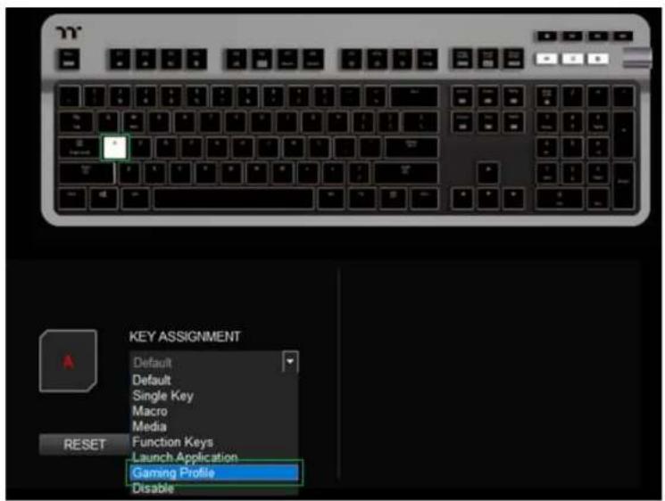 KEY ASSIGNMENT Default Default Single Key Macro Media FUNCTION KEYS Launch Application Gaming Profile Disable