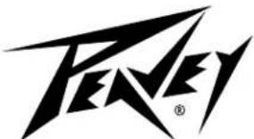 Stylized black-and-white logo with stylized Chinese characters and a registered trademark symbol
